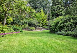 Optimiser l'expérience du jardin à Yvignac-la-Tour