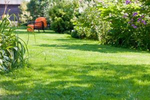 travaux jardin et paysage Yvignac-la-Tour